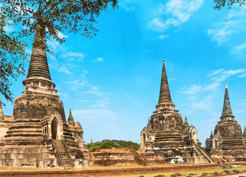 ワットプラシーサンペット